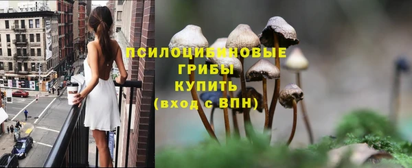 круглые Арсеньев