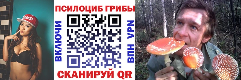 Псилоцибиновые грибы Magic Shrooms  ОМГ ОМГ как зайти  Абдулино 